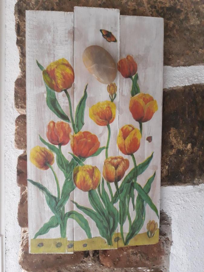 Vila Casa La Almazara La Parra  Exteriér fotografie